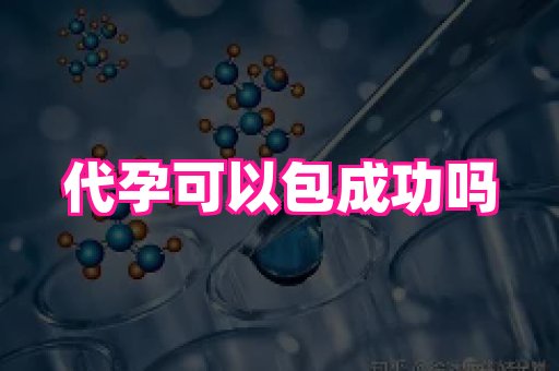 海口助孕网站 1