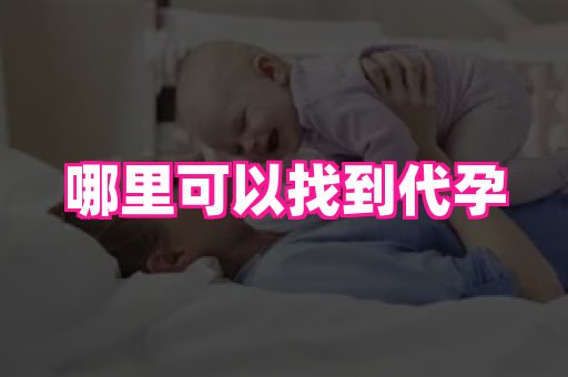 海口助孕网站 2