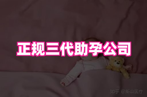 海口助孕网站 4
